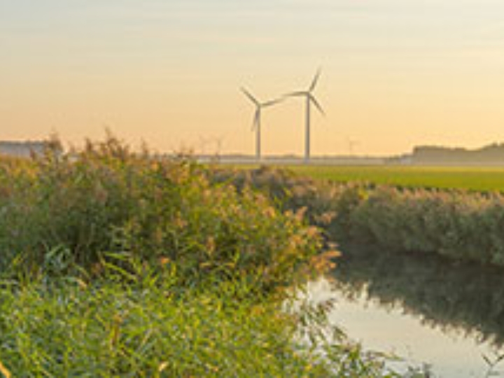 Windräder hinter einem Wassergraben mit Schilf bei Sonnenaufgang.