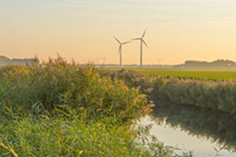 Windräder hinter einem Wassergraben mit Schilf bei Sonnenaufgang.