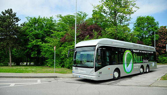 Moderner Linienbus auf einer Straße vor einem Park