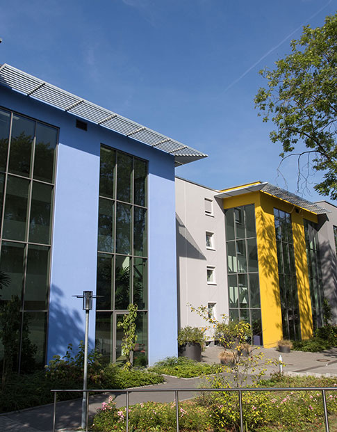 Die Häuserfront einer Reihenhaus-Anlage mit blauer, grauer und gelber Fassade und großen Fensterflächen