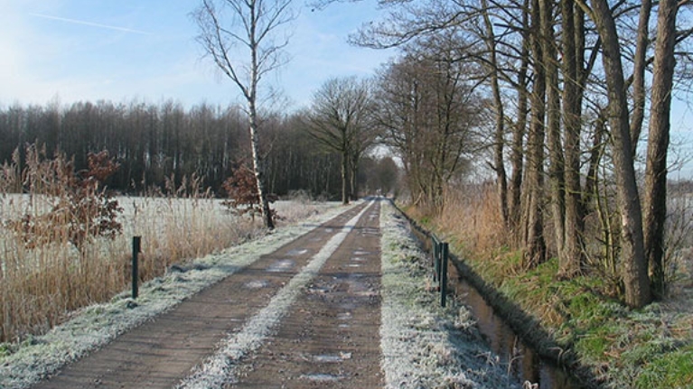 Ein Feldweg durch eine winterliche Landschaft mit Bäumen und Feldern