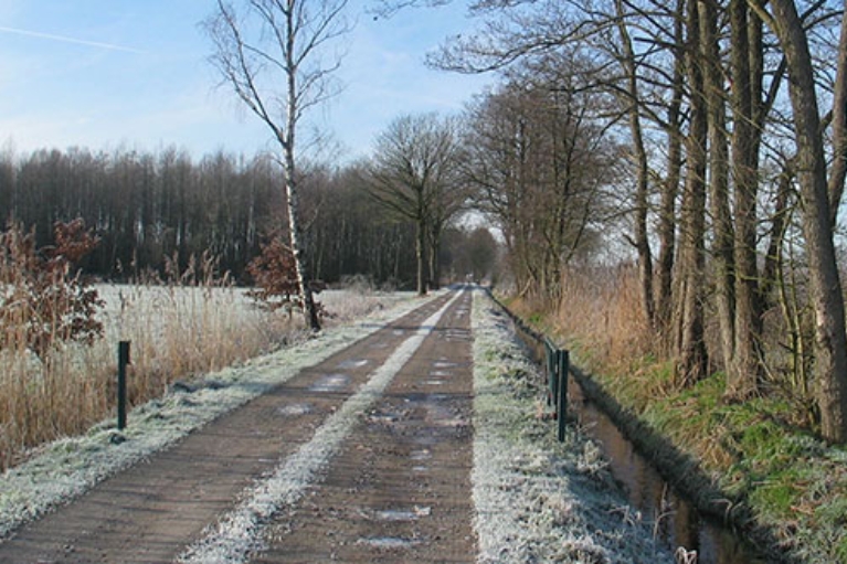 Ein Feldweg durch eine winterliche Landschaft mit Bäumen und Feldern